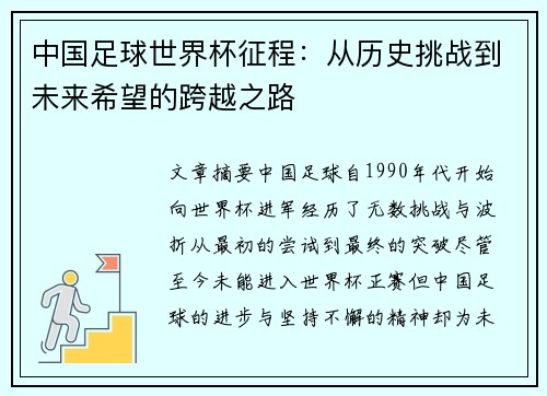 中国足球世界杯征程：从历史挑战到未来希望的跨越之路