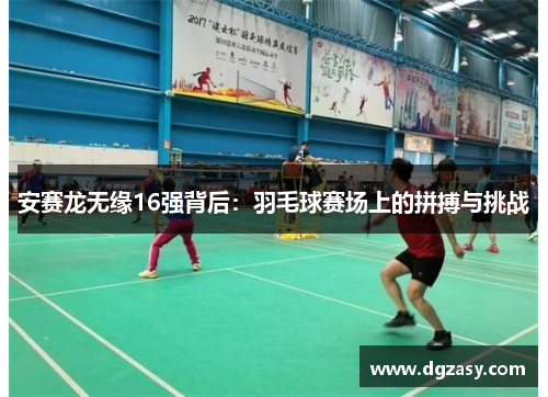 安赛龙无缘16强背后：羽毛球赛场上的拼搏与挑战